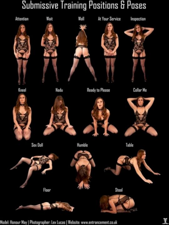 Dein neues Leben als Sissy-Schlampe für BBC und Hotwifes - Prolog und 1. Training