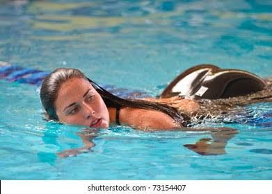 THE SEX OLYMPICS (Womens Stroking)