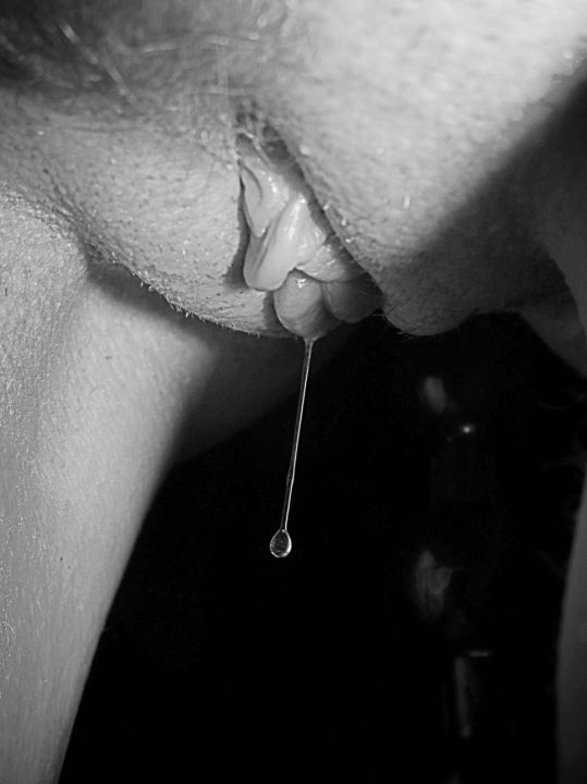 The Male Model
