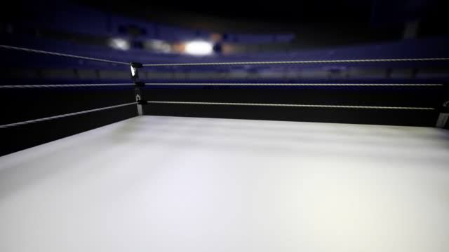 WWE MILOVANA ROYAL RUMBLE