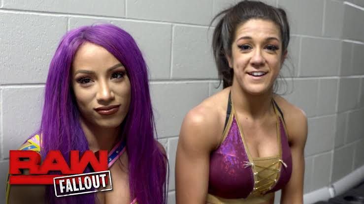 THE NEW BOSS OF WWE