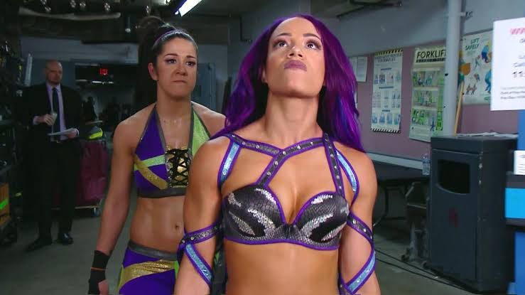 THE NEW BOSS OF WWE