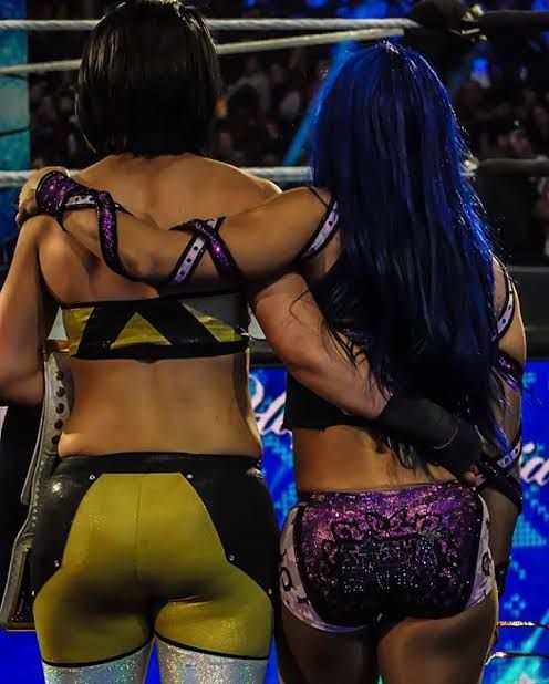 THE NEW BOSS OF WWE