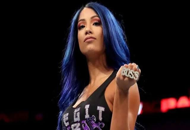 THE NEW BOSS OF WWE