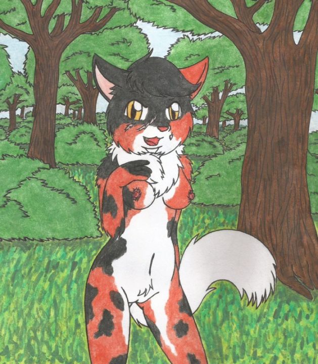 Feral's Toy 2