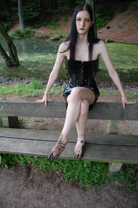 a walk in the woods