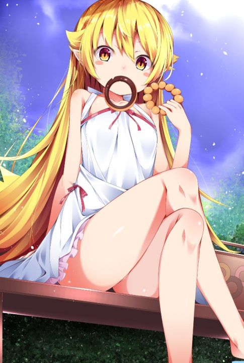 Shinobu's toy