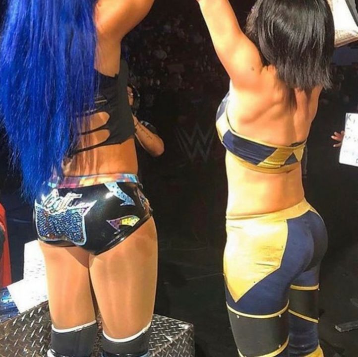 THE NEW BOSS OF WWE