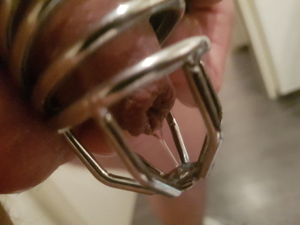 45 Day´s Keyholding