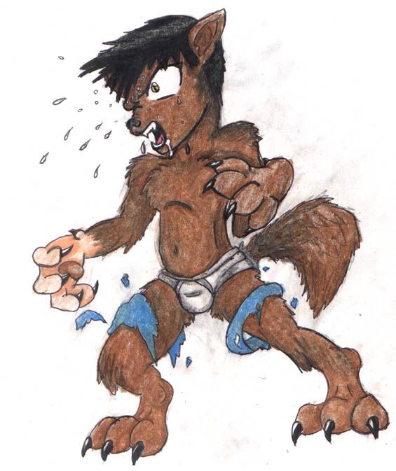 Werewolf Tease