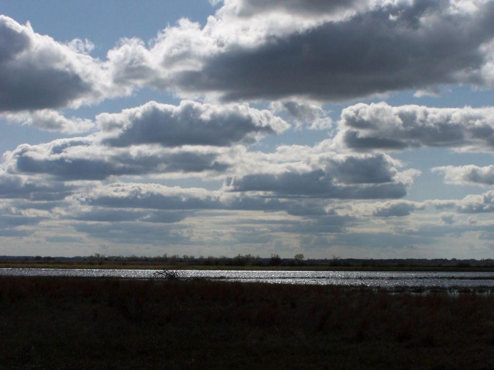 Heaven and Earth