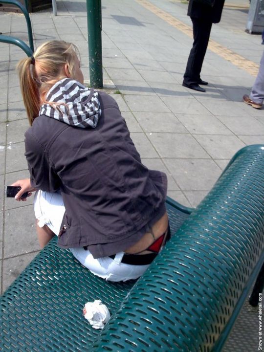 Panty Chronicles:  Chapter 3