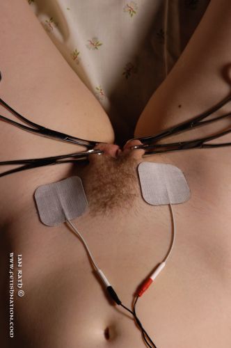 Survive If You Can- For Females