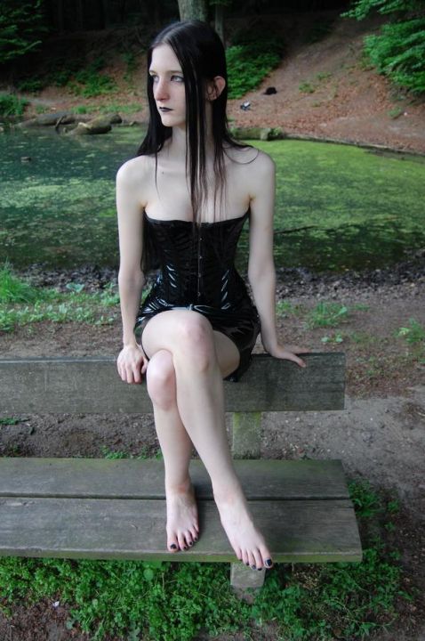 a walk in the woods