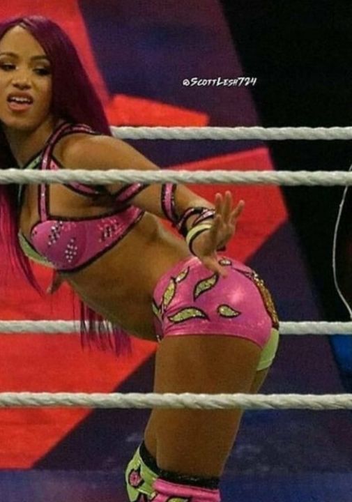 THE NEW BOSS OF WWE