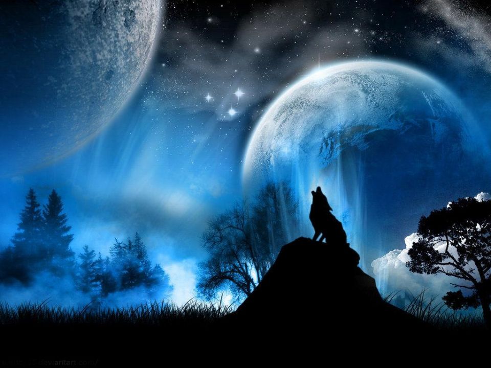 Werewolf Tease