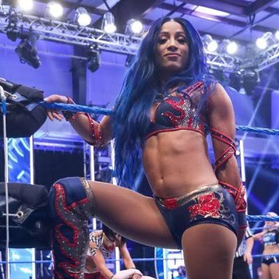 WWE MILOVANA ROYAL RUMBLE