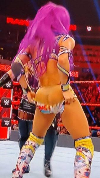 THE NEW BOSS OF WWE