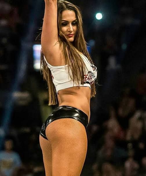 WWE MILOVANA ROYAL RUMBLE