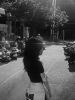 Chanh&Durry BB - Thumbnail